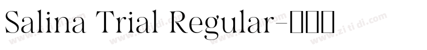 Salina Trial Regular字体转换